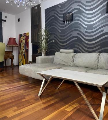 Apartament w centrum Brzeska 1