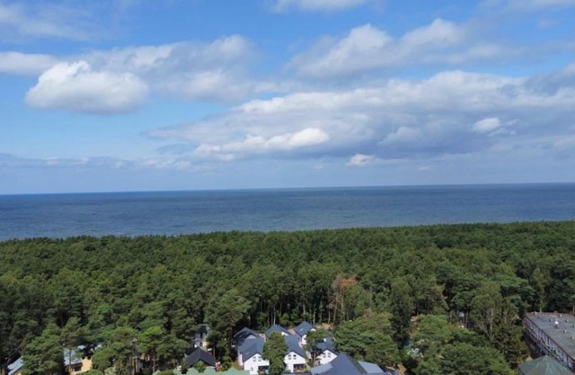 Apartament w sosnowym lesie
