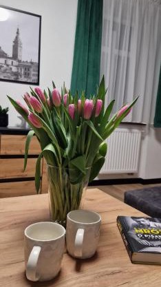 Apartament z duszą