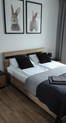 Apartamenty 77