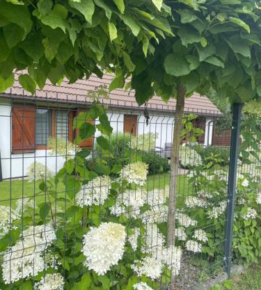 Apartamenty Buczyna w Sierakowie
