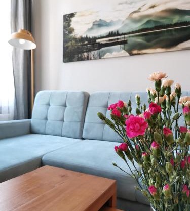 Apartamenty w ścisłym centrum Kupiecka-Drzewna