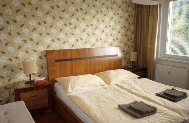 Apartmán Drahovice