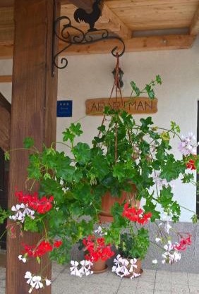 Apartman Thea Gomirje