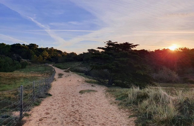 Apartment 4/6 people Saint Georges d'Oleron/Quiet, direct access to the sea