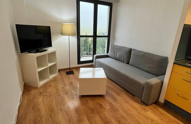 Apartment Aísa-Candanchú, 1 bedroom, 4 persons