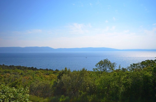 Apartment Andreas (75741-A1) - Ravni