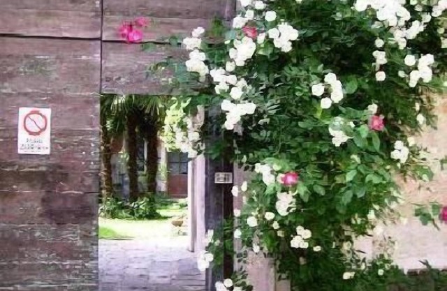 Apartment Caprifoglio in Miasino