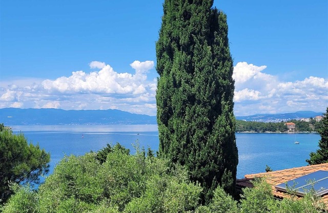 Apartment Carla 2 with Balcony