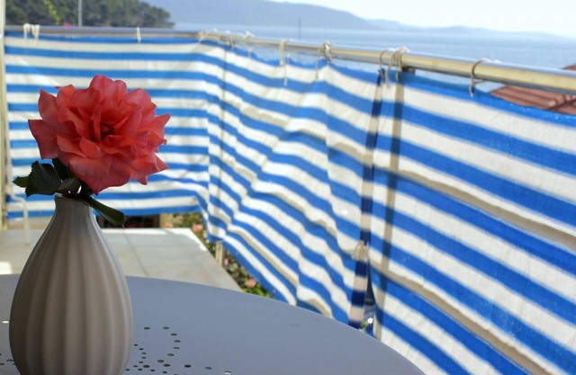 Apartment Davor (104981-A2) - Mali Iz - island Iz