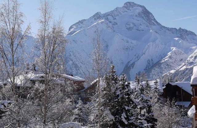 apartment/flat - Les 2 Alpes