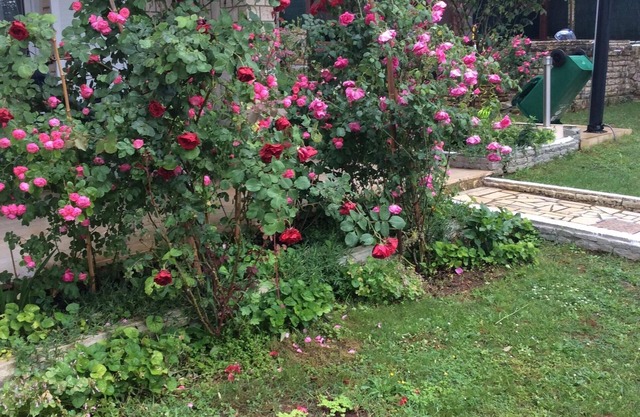 Apartment for 2 people and 2 children