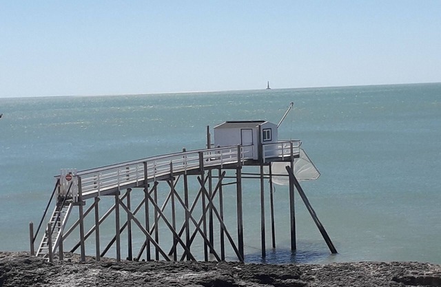 APARTMENT PP FACE SEA AND PHARE OF CORDOUAN