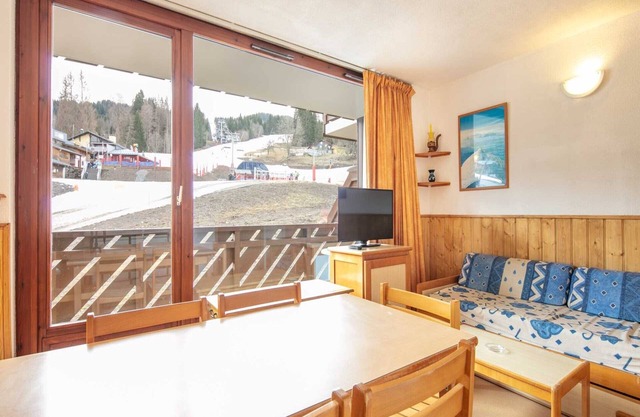 Apartment in France near Ski Resort