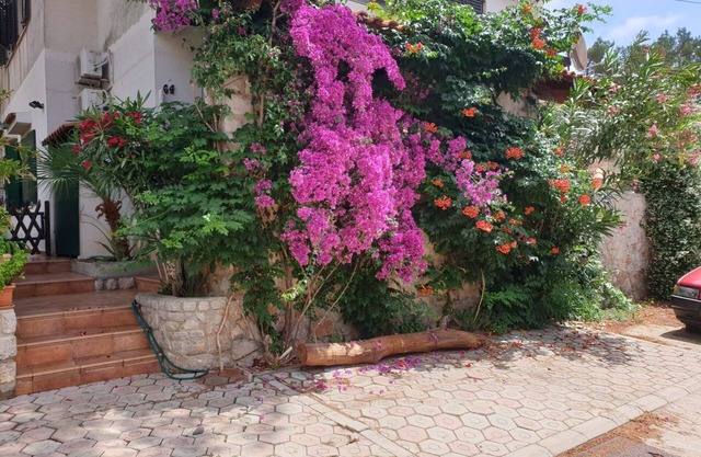 Apartment in Mali Lošinj with Terrace, Air condition, WIFI, Washing machine (4913-3)