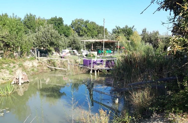 Apartment Le Cailar, 2 bedrooms, 4 persons