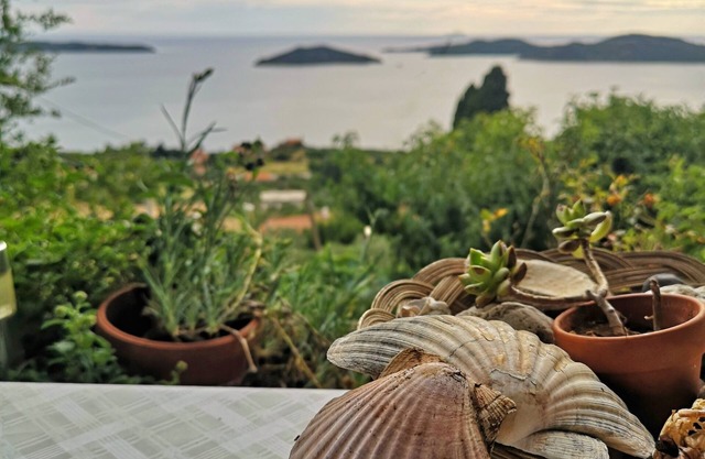 Apartment Miho (52181-A1) - Trsteno