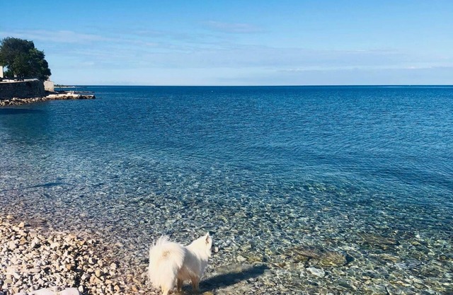 Apartment Nataša - romantic getaway: - Umag, Istria, Croatia