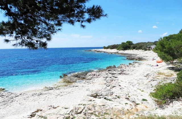 Apartment Oasis - 50 m from the sea: SA1(2+2) - Veli Rat, Island Dugi otok, Croatia