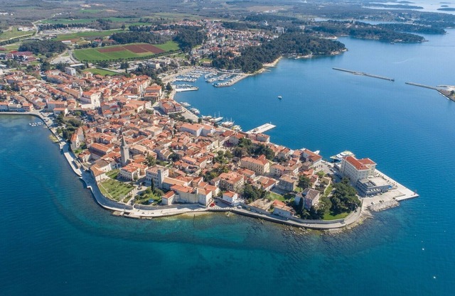 Apartment Orchis in the City Center