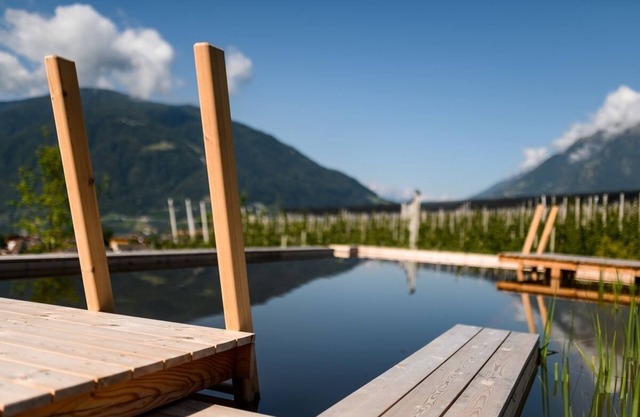 Apartment 'Pataunerhof Tilia Lodge' with Mountain View, Shared Pool & Wi-Fi