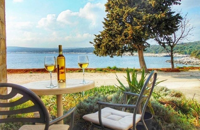 Apartment Rajka - 20 m from beach: - Koromacno, Istria, Croatia