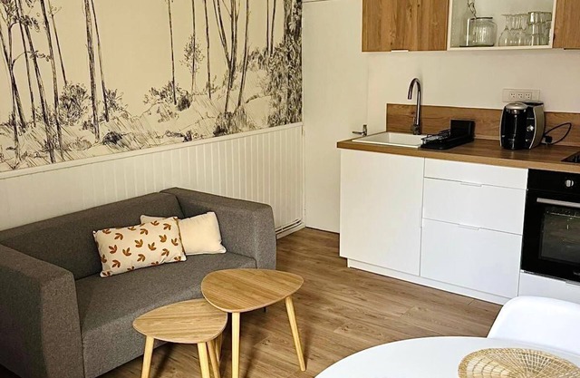 Apartment triple gare Angers