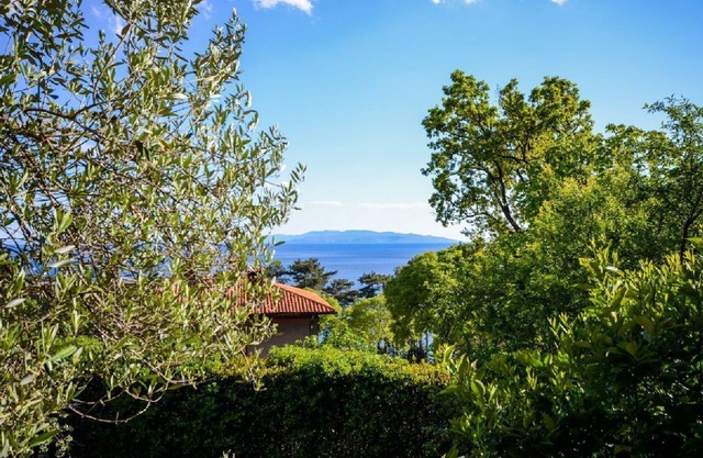 Apartment Višnja (61951-A1) - Rijeka