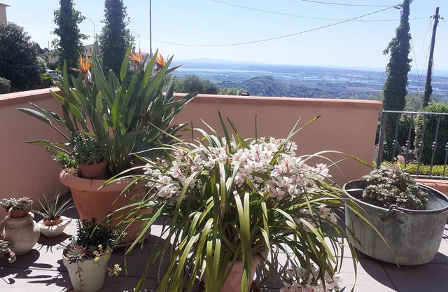 Apartment with view of the Tuscan coast and garden