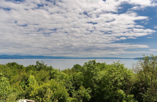 Apartment ZORKA (27521-A1) - Medveja