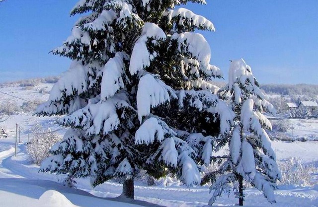 Apartments and rooms Jelena, (15231), Oštarski Stanovi, Croatia