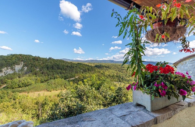 Apartments and Rooms Nela HUM/Studio Apartment A1