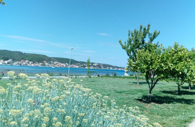 Apartments and Rooms Viskic