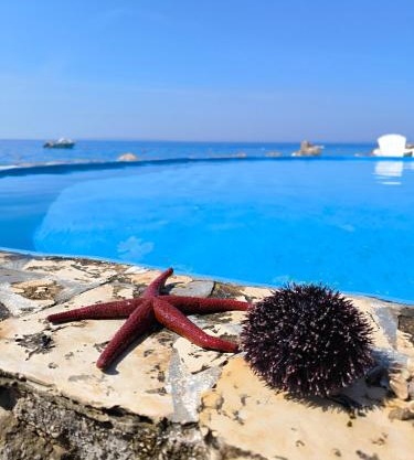 Apartments Anica Beber