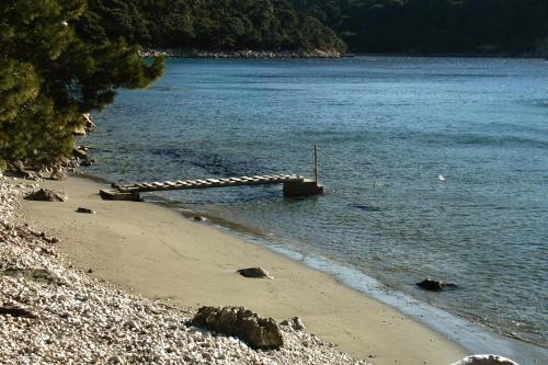 Apartments by the sea Cove Saplunara, Mljet - 12849