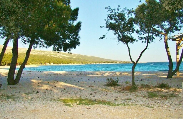 Apartments Davorka, (14948), Šimuni, Croatia