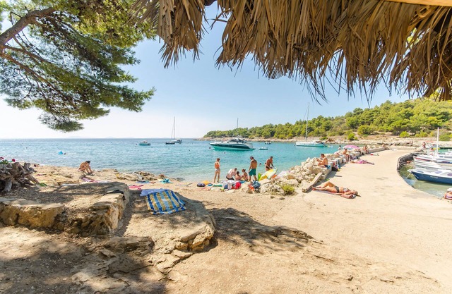 Apartments Ljubica (27881-A3) - Murter - island Murter