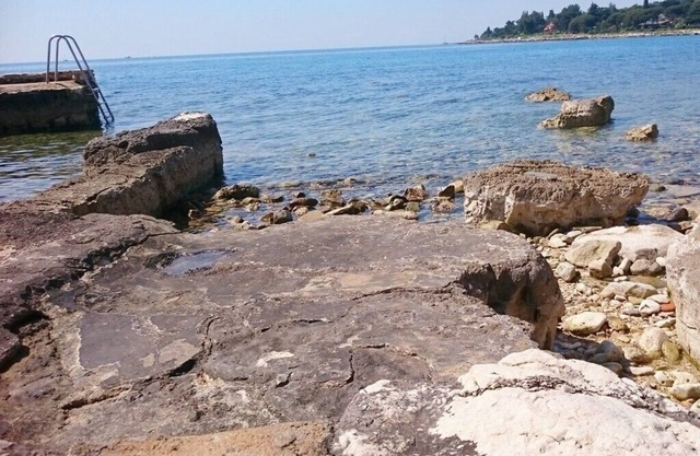 Apartments Majda, (15047), Umag, hr