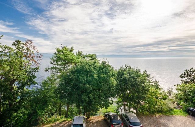 Apartments Milan (24071-A2) - Medveja