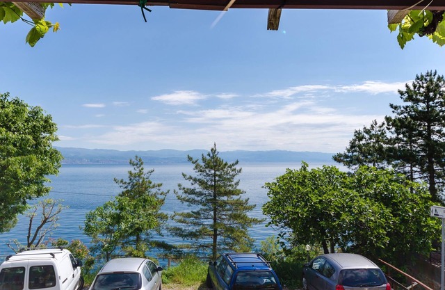 Apartments Milan (24071-A3) - Medveja