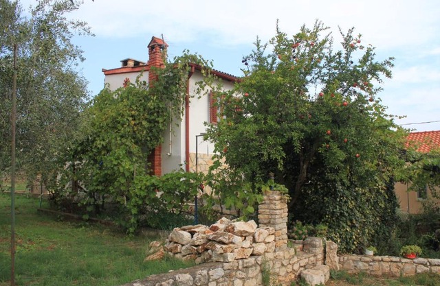 Apartments with parking space Ugljan - 8527