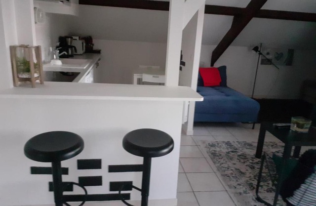 Appart cosy Disney paris