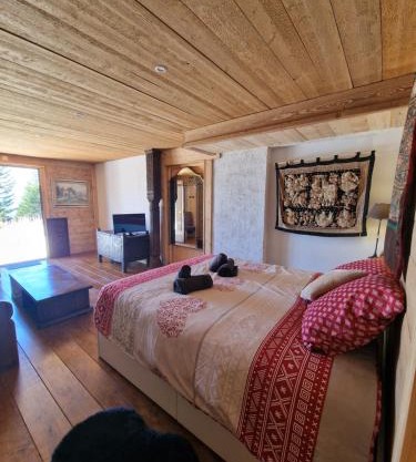 Appartement Atypique Saxel