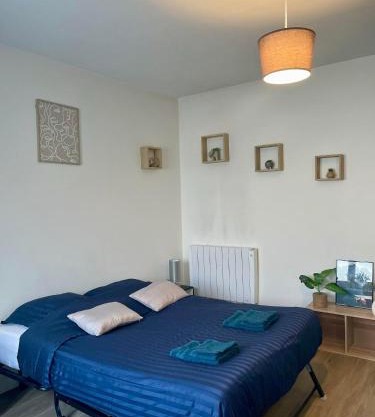 Appartement cosy proche gare Angers