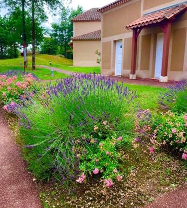 Appartement dans joli village de vacances 47150