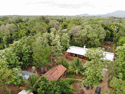 Araliya resort dambulla with free cooking class
