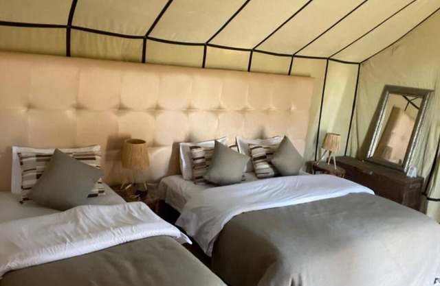 Arena Desert Camp & Activitys