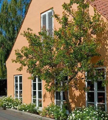 Aroma Guesthouse