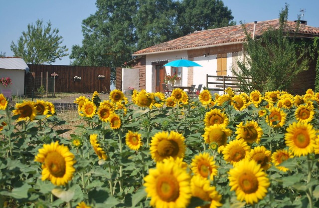 At the gateway to the Gers, Eden Farm's air-conditioned gîte