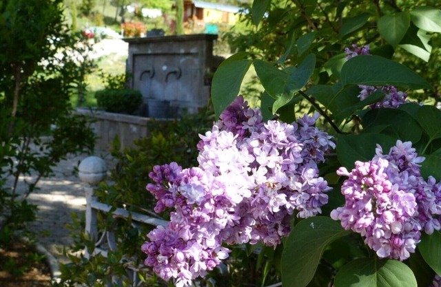 atypical cottage L'atelier